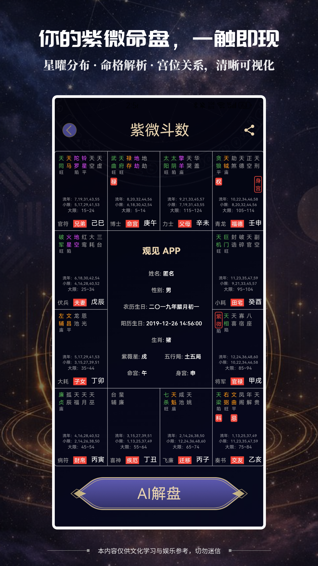 紫微斗数命盘截图